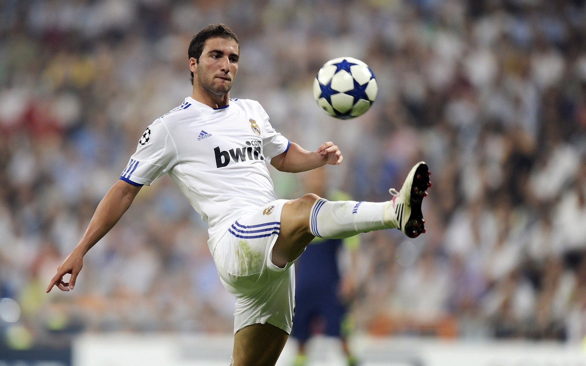 黄蜂力克广厦队，小贾伦成为关键先生