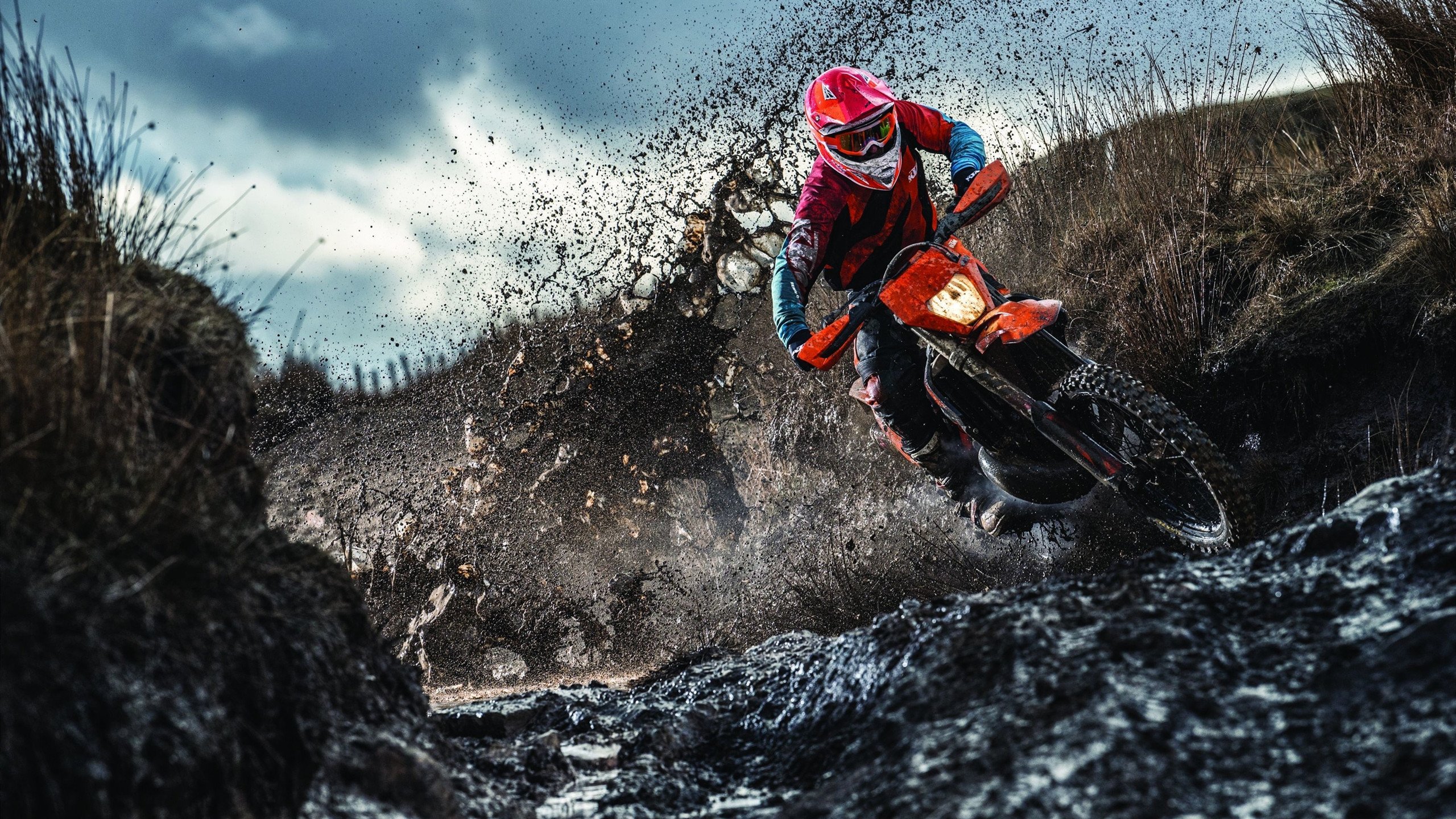 雷霆逆转骑士，张镇麟点燃赛场，一场跨越国界的篮球交响